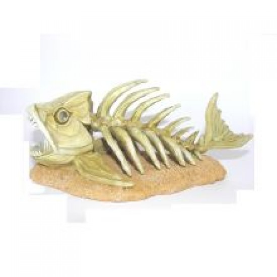 Animate Zombie Resin Fish Bones