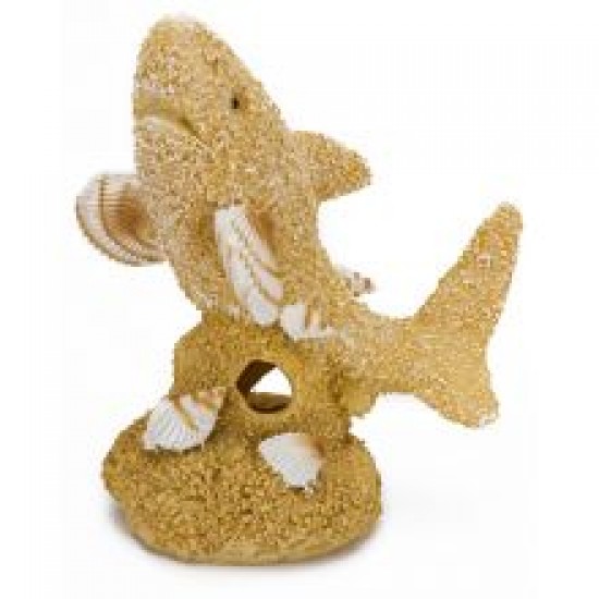 Animate Sand & Shell Shark