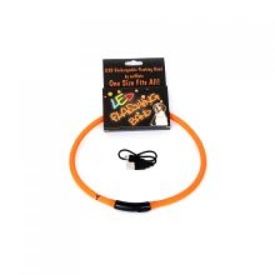 Animate LED Loop Orange