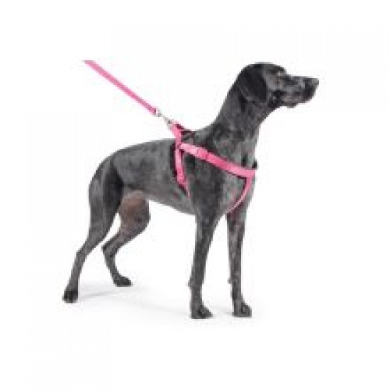 Ancol Padded Harness Raspberry