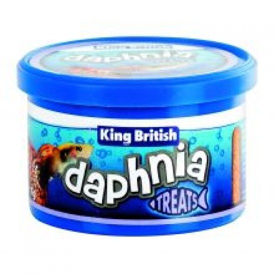 King British Daphnia Fish Treats