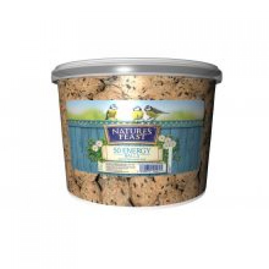 Natures Feast Energy Balls Tub