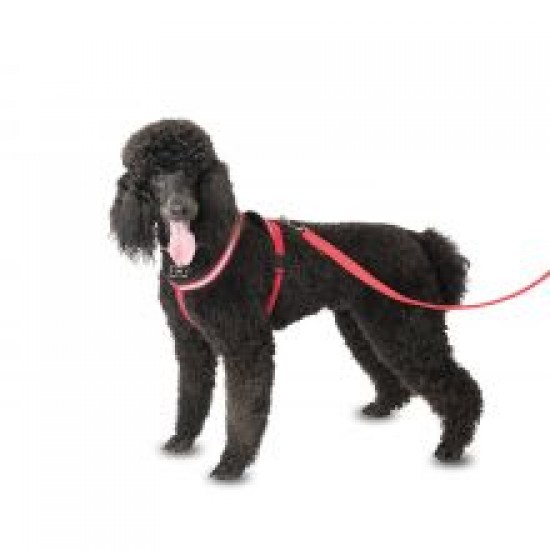 Comfy Harness Red