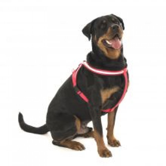 Comfy Harness Red