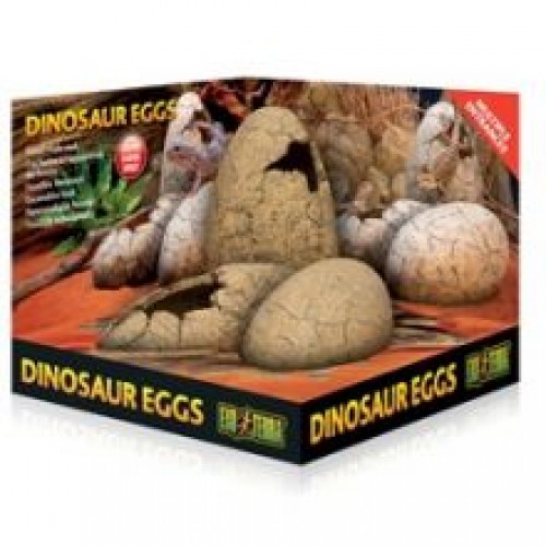 Exo Dinosaur Eggs Exo Dinosaur Eggs