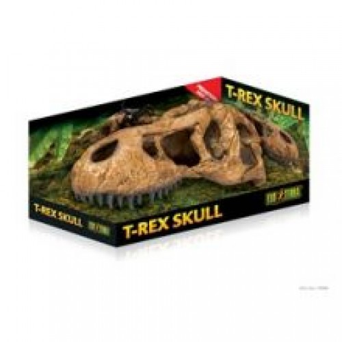 Exo T-rex Skull Exo T-rex Skull