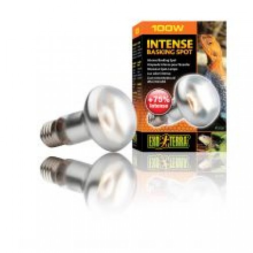 Exo Terra Intense Basking Spot - 100w Exo Terra Intense Basking Spot - 100w
