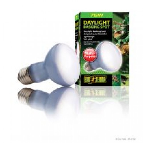 Exo Terra Daylight Basking Spot- 75w Exo Terra Daylight Basking Spot- 75w