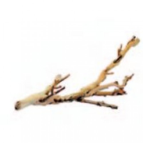 Exo Terra Forest Branch Exo Terra Forest Branch