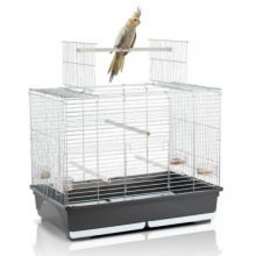 Imac Wilma Open Top Cockatiel