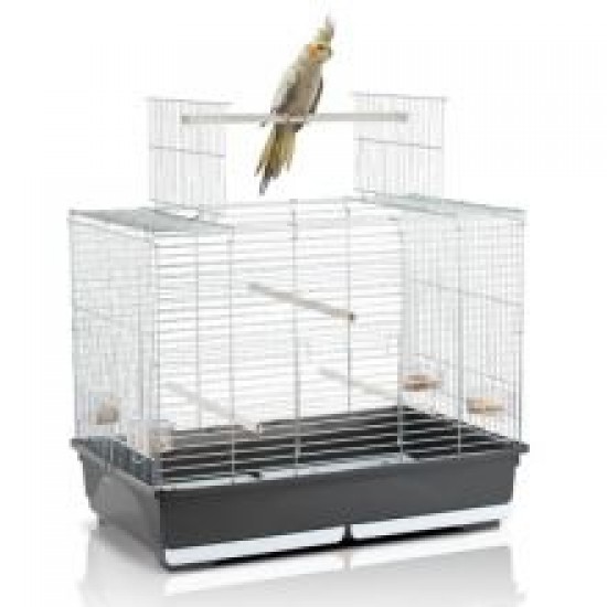 Imac Wilma Open Top Cockatiel