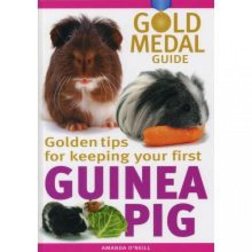 Gold Medal Guide Guinea Pig