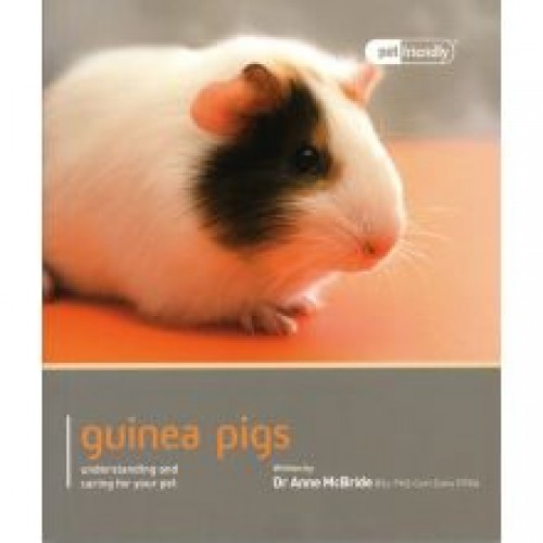 Guinea Pig Pet Friendly