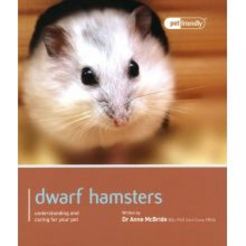 Dwarf Hamster Pet Friendly