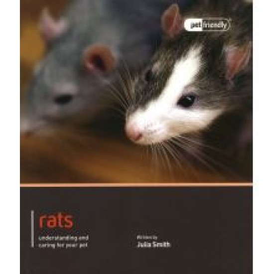 Rat Pet Friendly Rat Pet Friendly