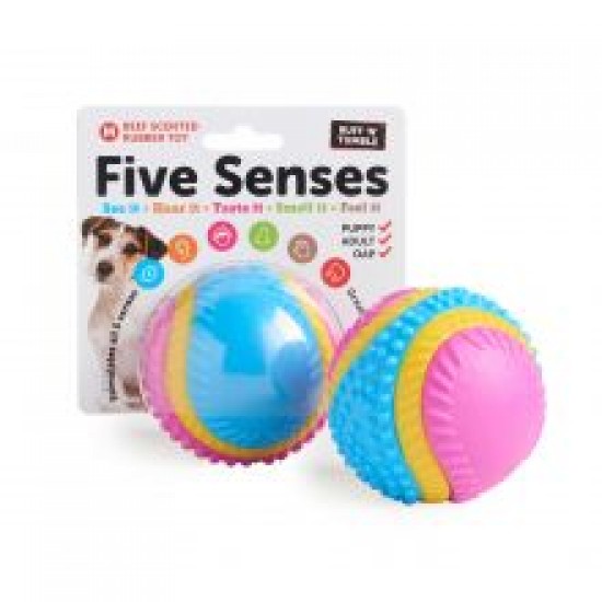 Five Senses Sensory Ball