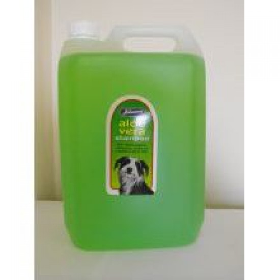 Johnsons Aloe Vera Shampoo