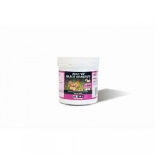 Nettex Garlic Granules Nettex Garlic Granules