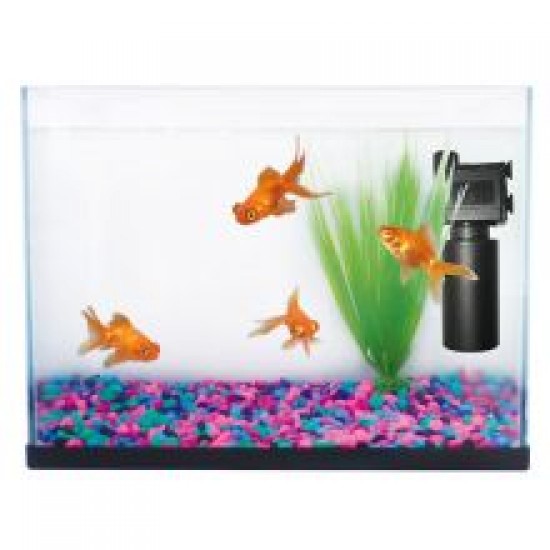 Fish 'R' Fun Aquarium Starter Kit