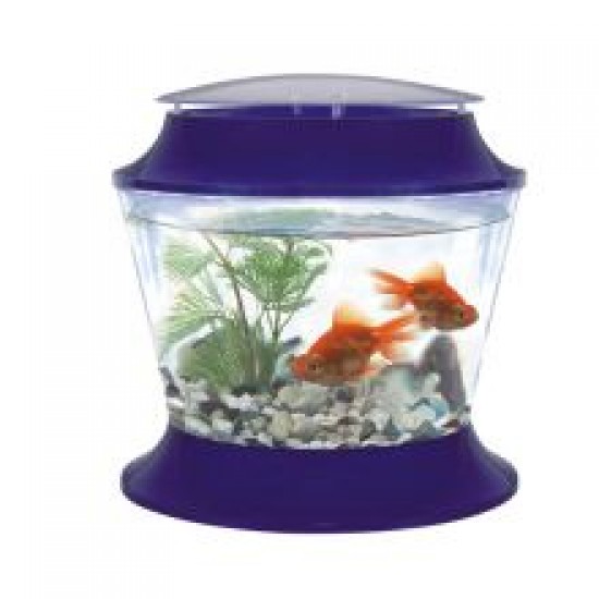 Fish 'R' Fun Plastic Bowl & Lid