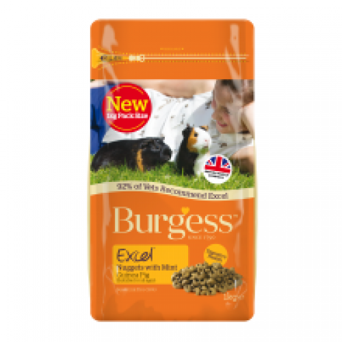 Burgess Excel Guinea Pig Burgess Excel Guinea Pig