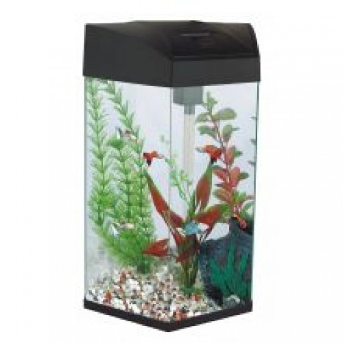 FRF Hexagonal Tall AqauriumBlack FRF Hexagonal Tall AqauriumBlack