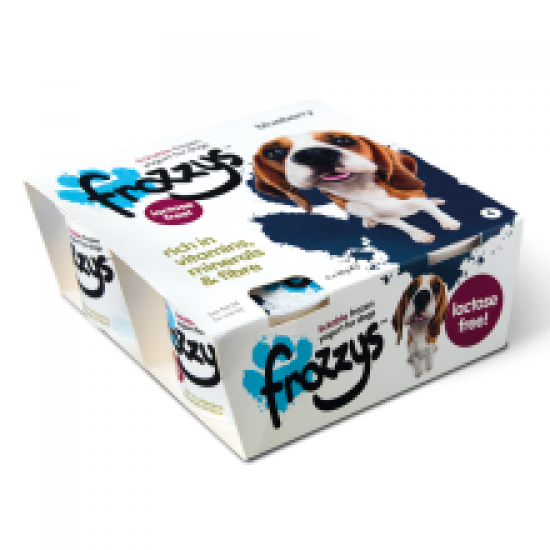 Frozzys Blueberry 4pk