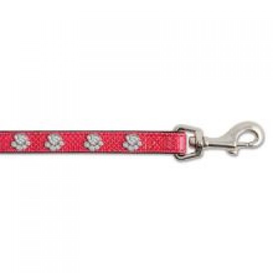 Ancol Sparkly Paw Lead