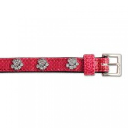 Ancol Sparkly Paw Collar Ancol Sparkly Paw Collar