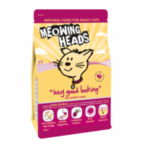 Meowing Heads Hey Good Looking Meowing Heads Hey Good Looking
