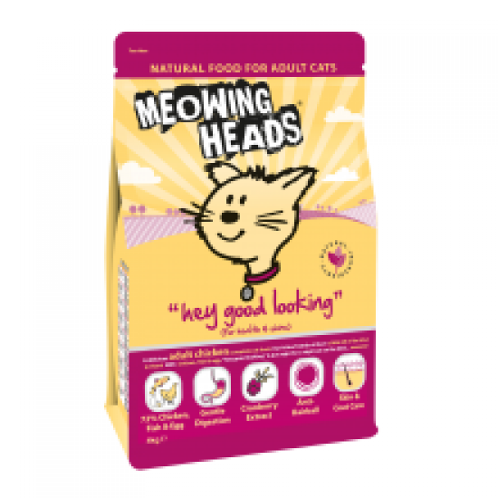 Meowing Heads Hey Good Looking