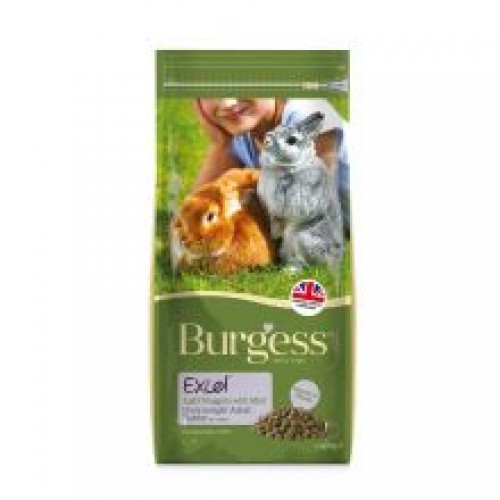 Burgess Excel Rabbit Light Burgess Excel Rabbit Light