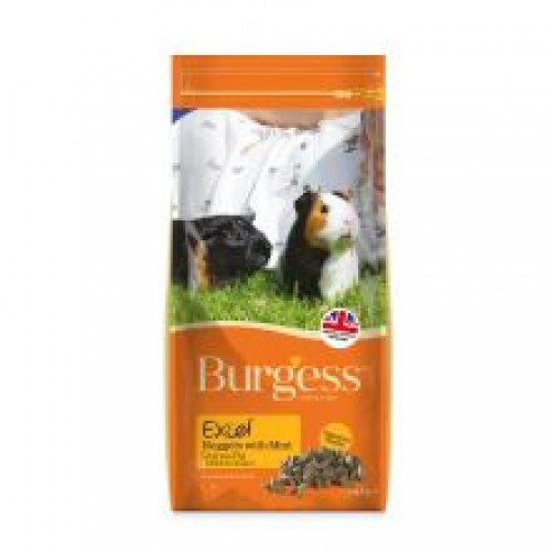 Burgess Excel Guinea Pig Burgess Excel Guinea Pig