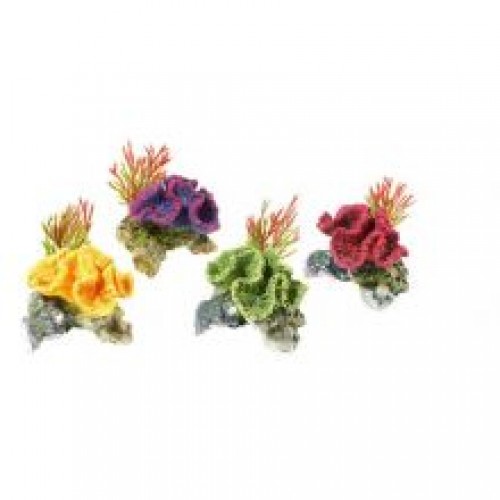 Classic Coral On Rocks Assorted