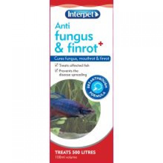 Anti Fungus & Finrot