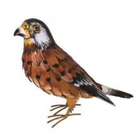 Supa Decor Metal Kestrel