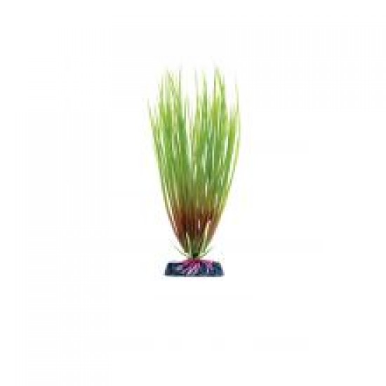 Animate Hair Grass Plant