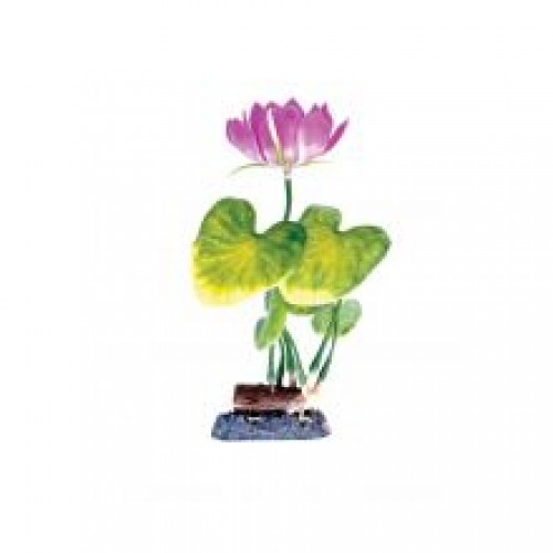 Animate Water Lily White Plant Animate Water Lily White Plant