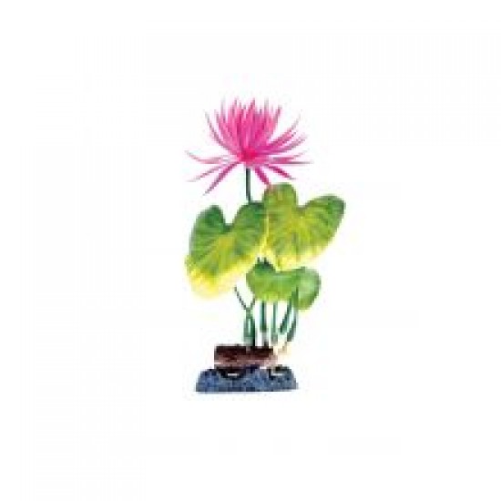 Animate Water Lily Red Plant