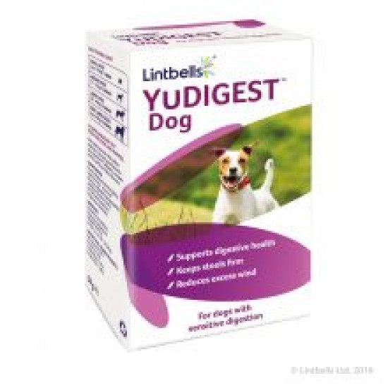 YuDigest Dog