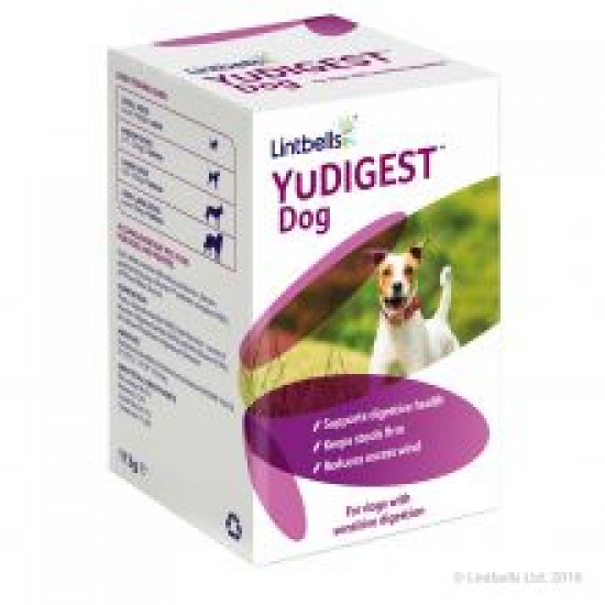 YuDigest Dog
