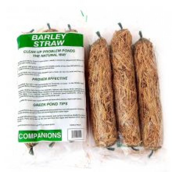 Animate Barley Straw For Ponds Animate Barley Straw For Ponds