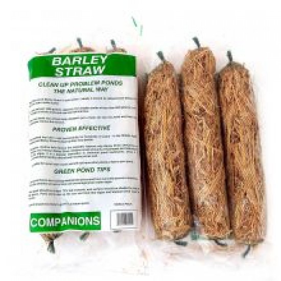 Animate Barley Straw For Ponds