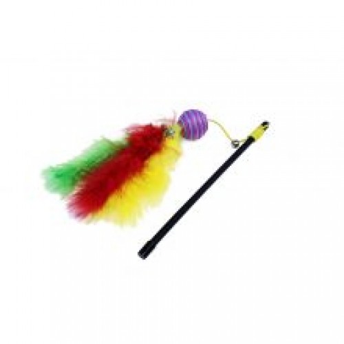 Happy Pet Carnival Ball