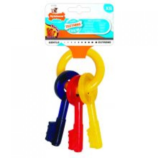 Nylabone Pup Teeth Keys Xsmall