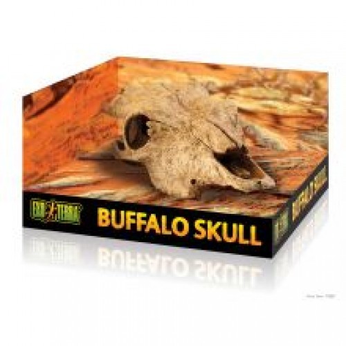 Exo Terra Buffalo Skull Exo Terra Buffalo Skull