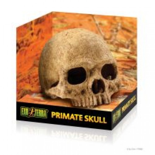 Exo Terra Primate Skull Exo Terra Primate Skull
