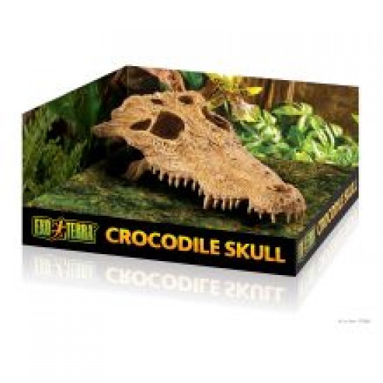 Exo Terra Crocodile Skull