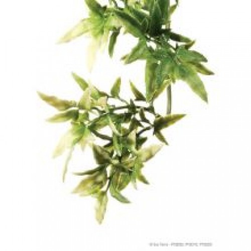 Exo Plastic Croton Shrub Exo Plastic Croton Shrub