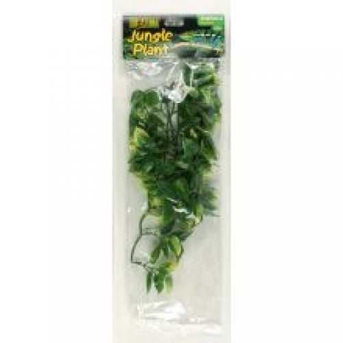 Exo Plast Amapallo Shrub Exo Plast Amapallo Shrub